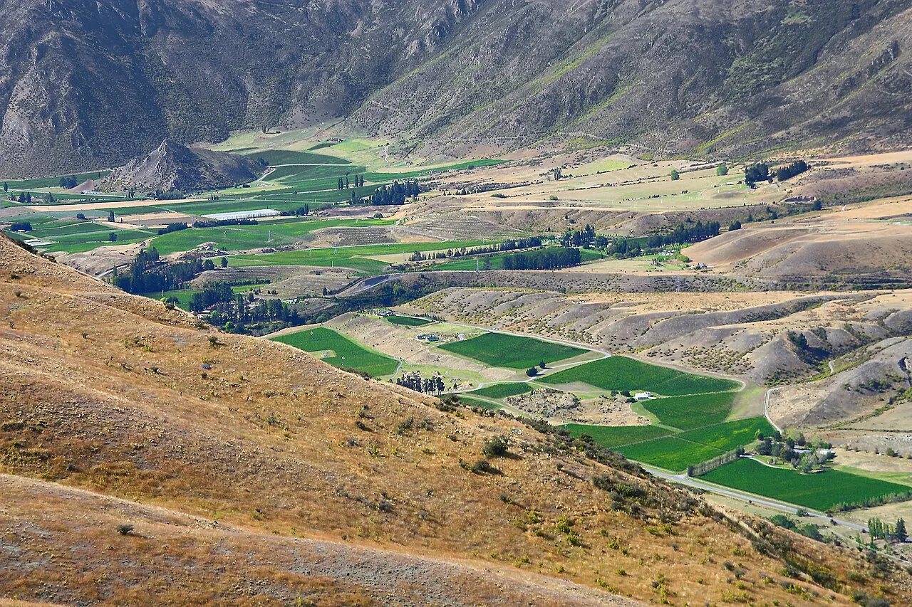 Vineyards across the Gibbston Valley in Central Otago